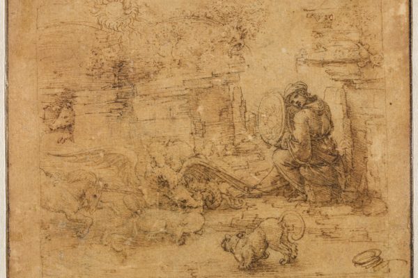 Intorno alla Sala delle Asse. Leonardo tra Natura, Arte e Scienza.